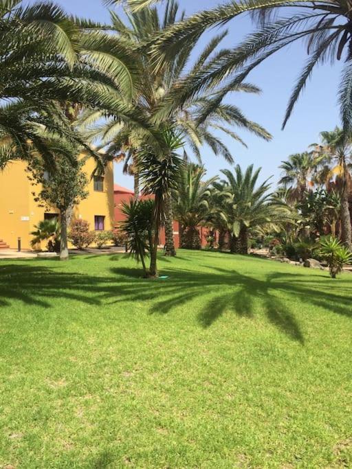 Corralejo Happy Place, Precioso Apartamento Con Piscina Экстерьер фото