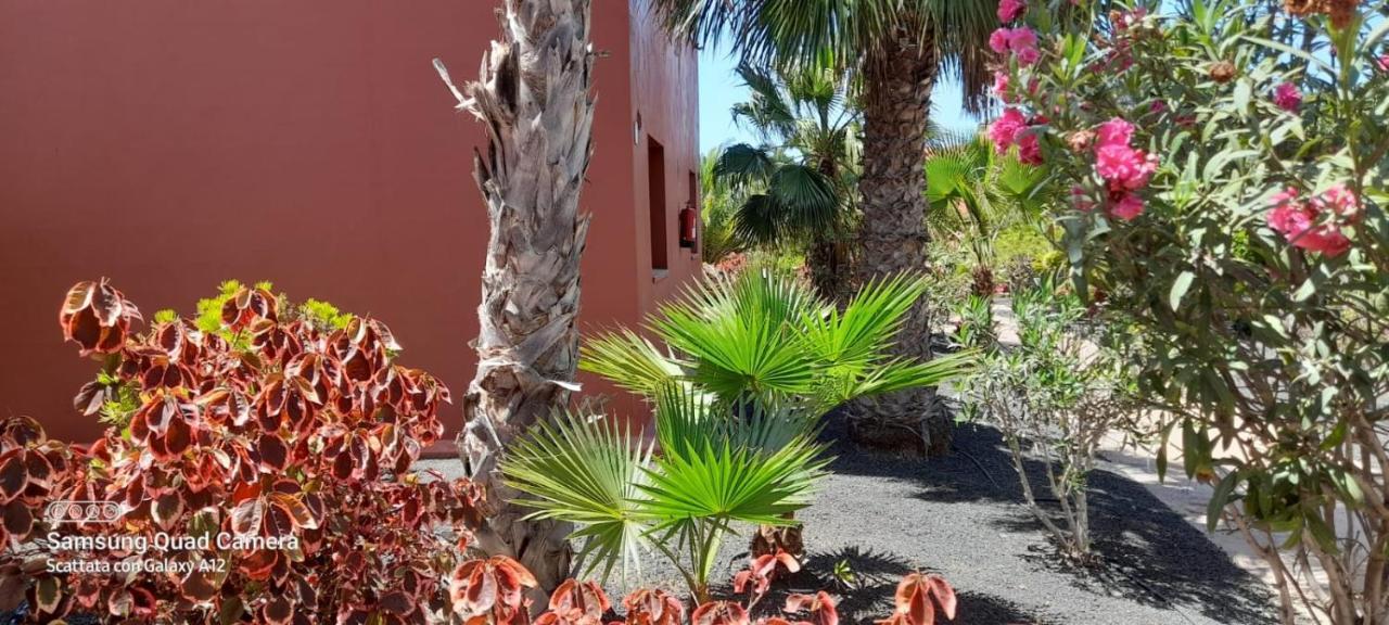 Corralejo Happy Place, Precioso Apartamento Con Piscina Экстерьер фото